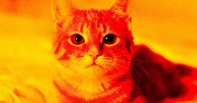 Living with cats as a child has once again been linked to mental health disorders, because our furry friends apparently can't catch a break.