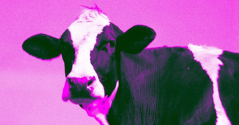 Japanese engineers have successfully test-fired a space rocket engine, which runs on — not even joking — locally-sourced cow poop.