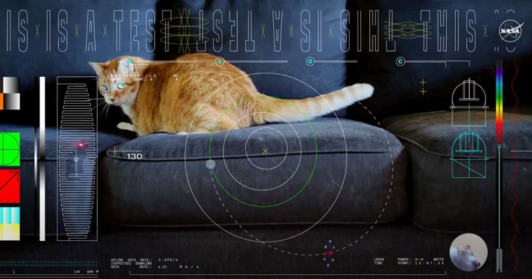 NASA's Psyche spacecraft just beamed back a cat video from almost 19 million miles away and at blistering speeds.