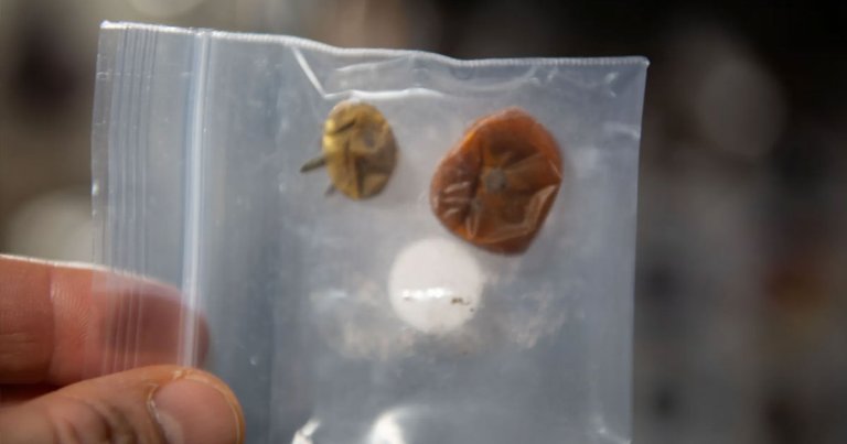 Astronauts on board the International Space Station have made a startling discovery: the husks of two old and dried-out tomatoes.