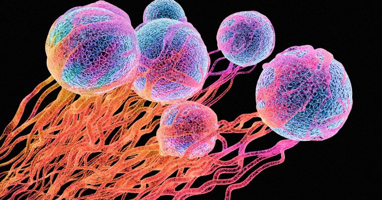 OpenAI CEO Sam Altman has invested a whopping $180 million in a startup that's looking for novel ways to extend human longevity.