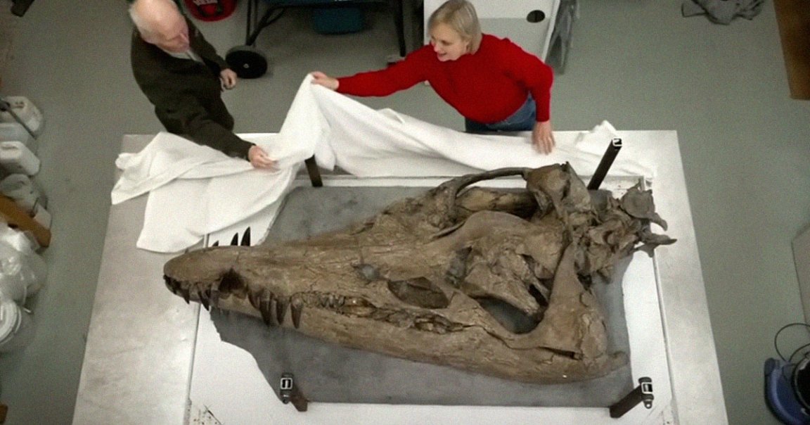 Scientists were shocked after pulling out the massive skull of a "colossal sea monster" from the cliffs of the Jurassic Coast in the UK.