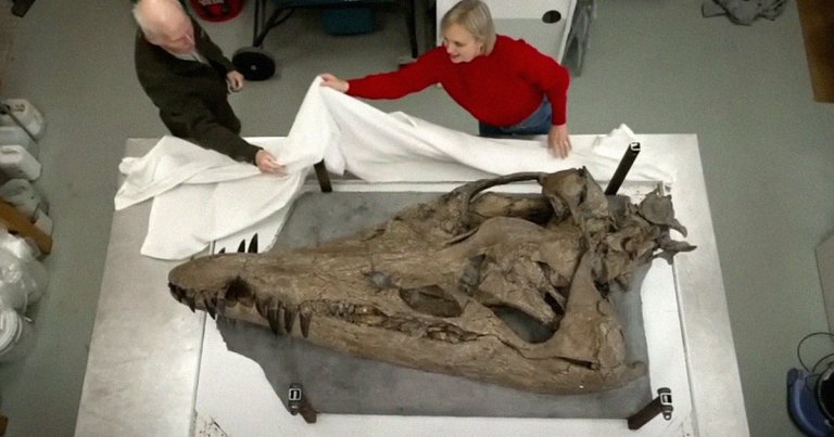 Scientists were shocked after pulling out the massive skull of a "colossal sea monster" from the cliffs of the Jurassic Coast in the UK.