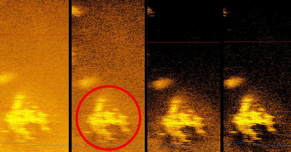 South Carolina-based ocean exploration company Deep Sea Vision claims to have found the aircraft of American aviation pioneer Amelia Earhart.