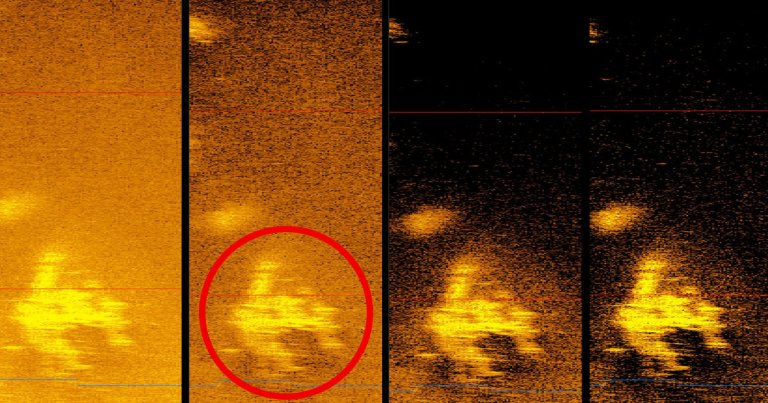 South Carolina-based ocean exploration company Deep Sea Vision claims to have found the aircraft of American aviation pioneer Amelia Earhart.