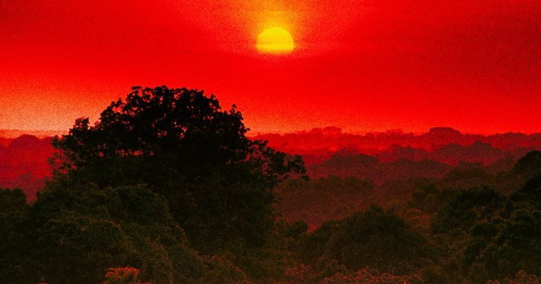 Large parts of the Amazon are nearing an irreversible “tipping point” and collapse due to deforestation and climate change, scientists warn.