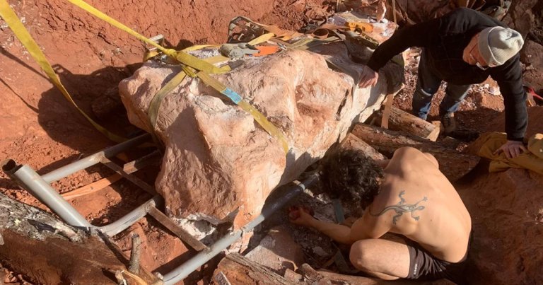 Amazing Discovery as Man Finds Huge Bone Sticking Out of Ground