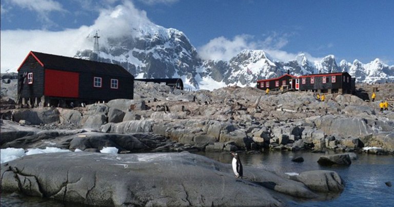 The UK Antarctic Heritage Trust is looking for five people to count penguins and "sorting mail at the world’s southernmost post office."