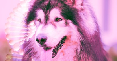 Bankrupt 23andMe Just Sold Off All Your DNA Data