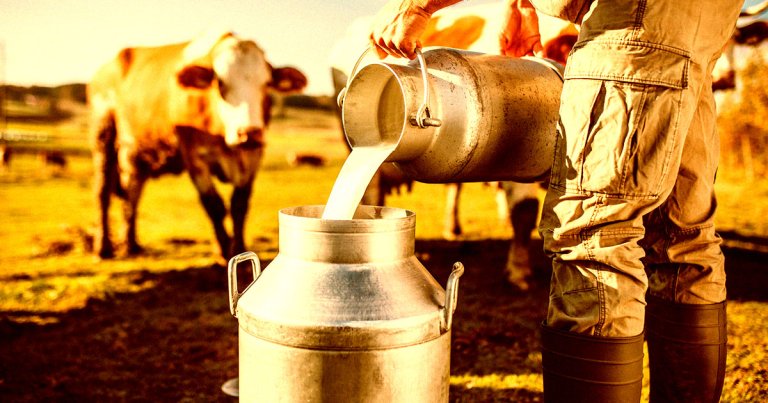 Researchers have created a gene-edited cow that produces human insulin in her milk in Brazil.