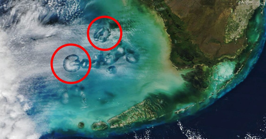Satellite Spots Circular Holes in Clouds Over Florida