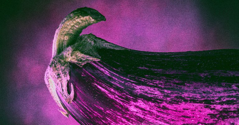 That new STI-detecting AI app apparently failed to detect a really bad case of syphilis — and gave a dick cake a clean bill of health.