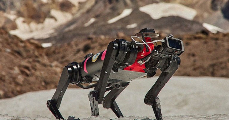 NASA is quietly teaching a robot dog how to walk on the Moon. Researchers just let one loose on the side of a mountain in Oregon.