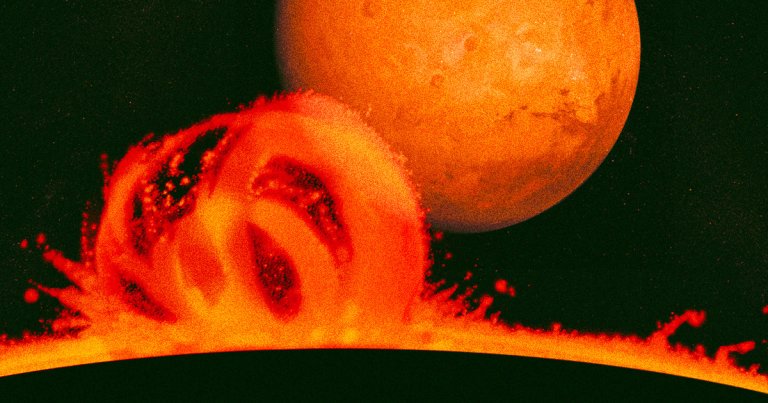As the Sun reaches solar maximum, NASA scientists hope to see just how much havoc a massive solar storm will wreak on the surface of Mars.