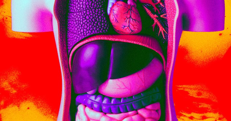 The experimental cell therapy attempts to grow a second liver on lymph nodes using cells extracted from a donated organ.