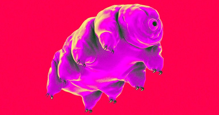 A tiny creature that's sturdy enough to survive space may hold the key to human longevity, scientists have found in a new study. 