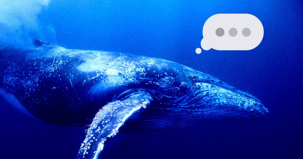 A team of scientists from the SETI Institute claims to have had a "conversation" with a humpback whale in Alaska.