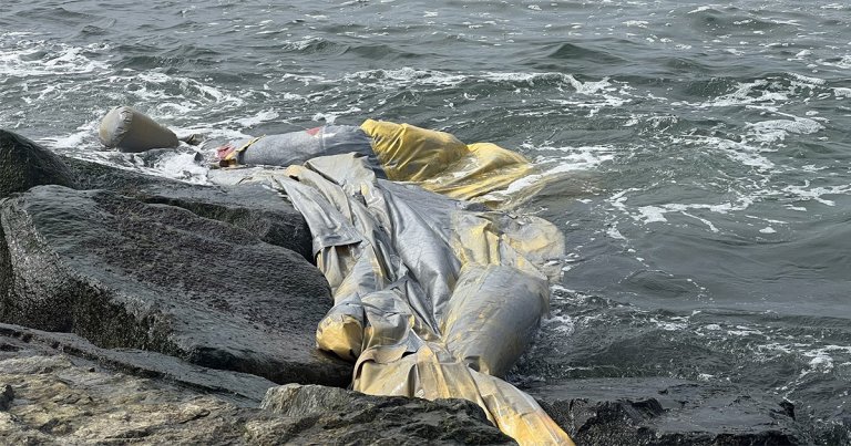 In an outrageous coincidence, a lawyer suing Boeing found a piece from a Boeing jet in the beach by his house.