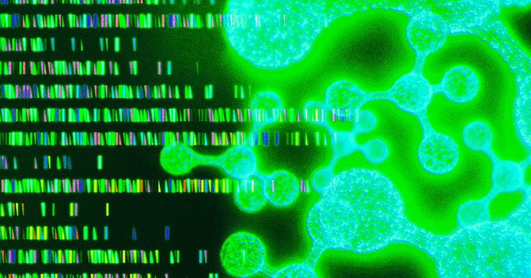 People with a rare mutation that causes Laron syndrome, a form of dwarfism, live healthier lives and could be the key to anti-aging drugs.