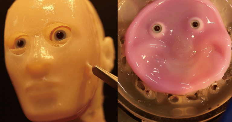 Scientists have grown living skin in a lab and attached it to a robotic face, so that it can create rudimentary facial expressions.