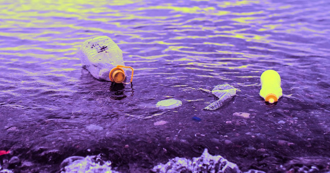 Marine scientists discovered an ocean-borne fungus chomping through plastic trash in the Great Pacific Garbage Patch.