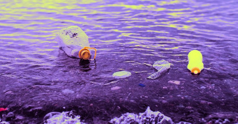Marine scientists discovered an ocean-borne fungus chomping through plastic trash in the Great Pacific Garbage Patch.