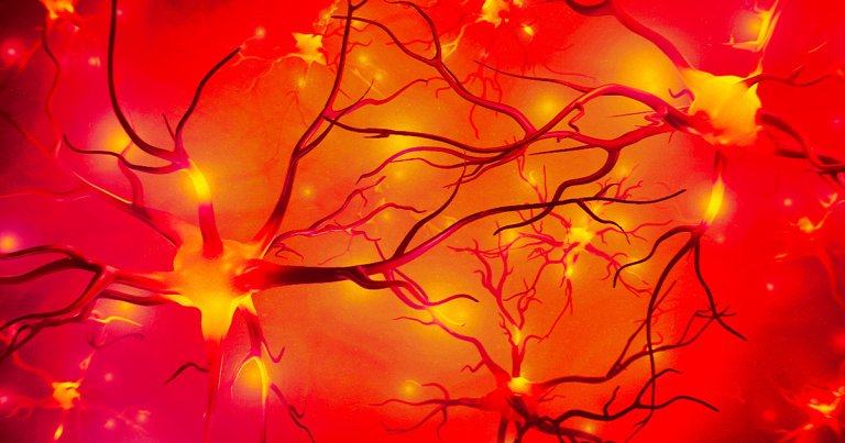 Scientists in Japan reversed the signs of Alzheimer’s in lab mice by restoring the healthy function of neuron synapses in their brains.