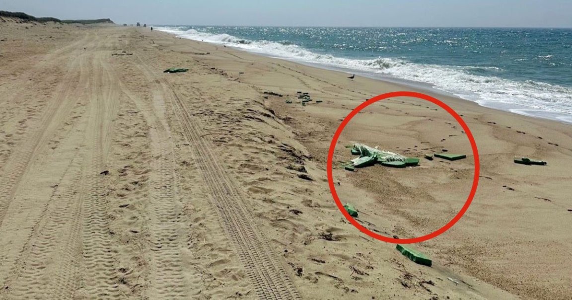 A massive wind turbine blade shattered, leading to "large floating debris and fiberglass shards" threatening local beachgoers.