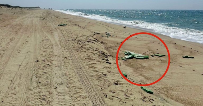 A massive wind turbine blade shattered, leading to "large floating debris and fiberglass shards" threatening local beachgoers.