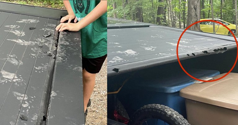 A particularly unlucky owner of a Tesla Cybertruck had an unfortunate incident with some raccoons while camping.