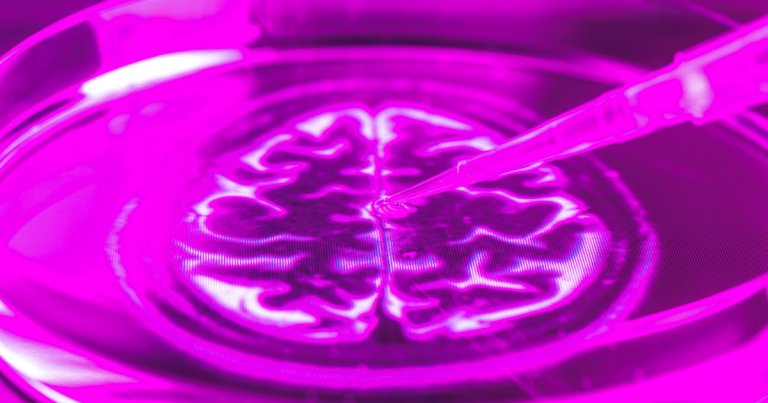 As scientists continue brains in labs, one neuroscientist is asking the hard question: can lab-grown brains ever truly be conscious?