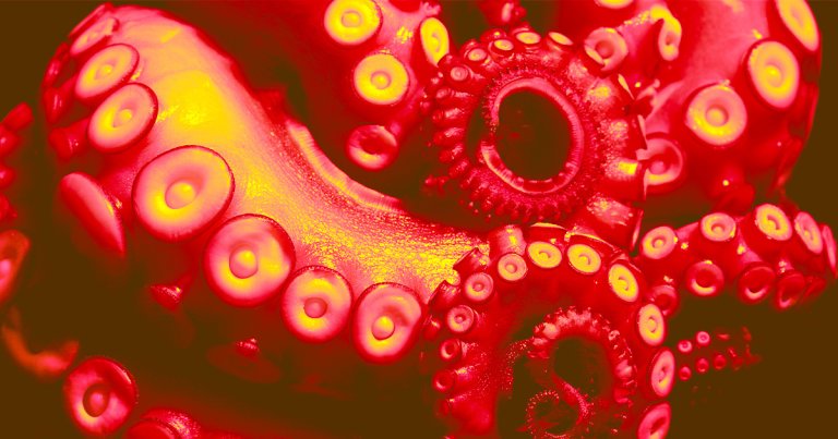 A proposed Congressional bill would ban the commercial farming of octopuses while also prohibiting the import of farmed octopus meat.