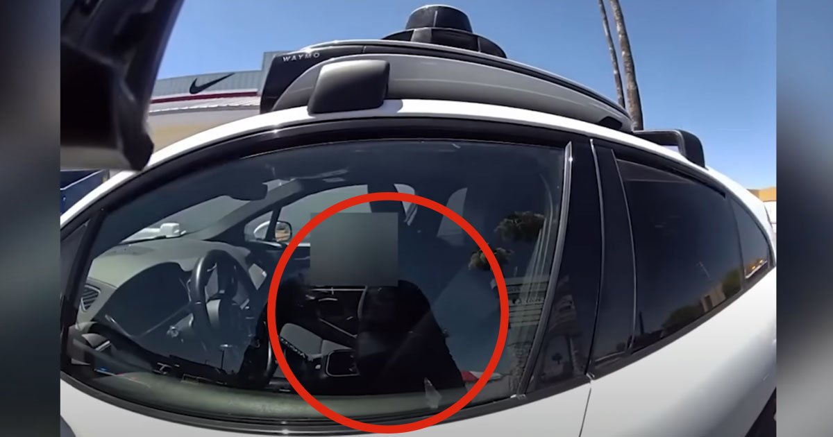 Police Pull Over Car for Driving on Wrong Side of Road, Startled to ...