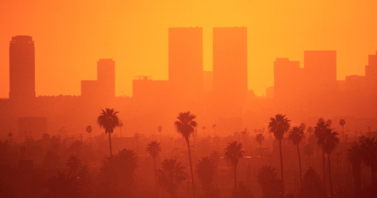 In a controversial new study, scientists are claiming that trees in Los Angeles are contributing to the city's air pollution.