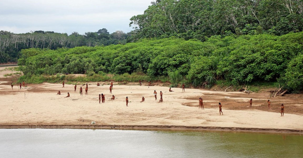 Fascinating footage shows members of one of the most isolated Indigenous tribes in the world leaving the rainforest in the Peruvian Amazon.