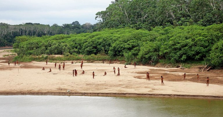 Fascinating footage shows members of one of the most isolated Indigenous tribes in the world leaving the rainforest in the Peruvian Amazon.