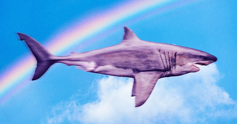 German airline Lufthansa is adding a sharkskin-like material to four more of its planes, which it says will reduce carbon emissions.