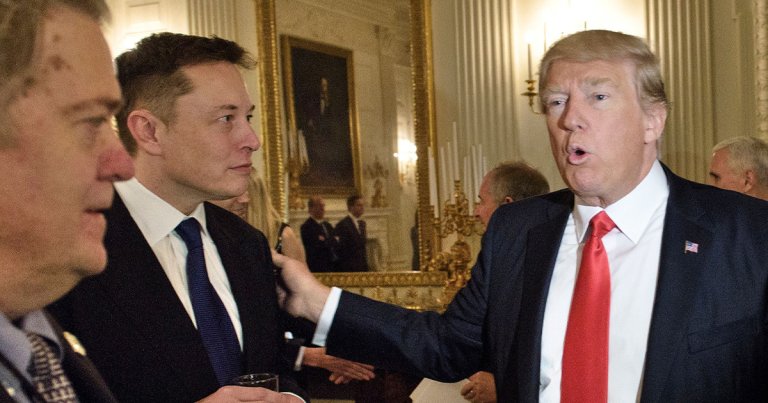 After floating the idea of having Elon Musk in his administration, Donald Trump is now saying it may not be possible.