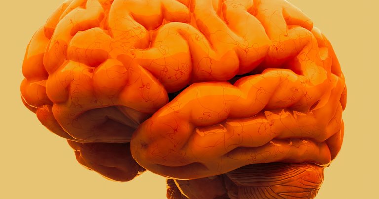 Scientists gene hacked Toxoplasma gondii, the same brain parasite that can be spready by cat litter, into becoming a carrier for drugs.