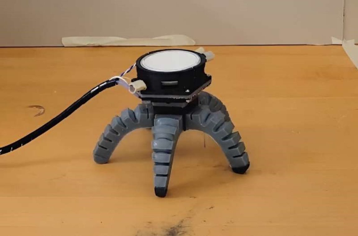 Engineering researchers at Cornell have come up with a novel way to control a walking robot: with mushrooms.