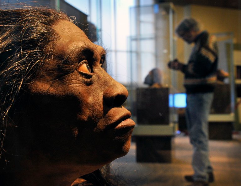 Archaeologists have uncovered a bone fragment belonging to Homo floresiensis, an archaic hominin that's nicknamed a "hobbit."
