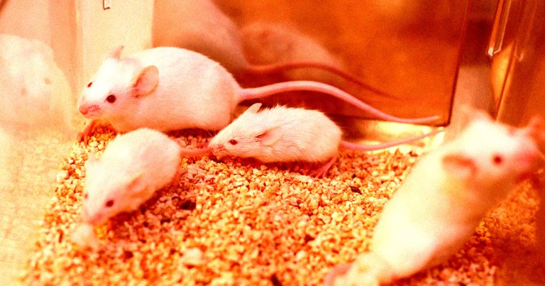 Scientists have found a way to control the minds of mice by manipulating nanoparticle-activated "switches" inside their brains with magnets.