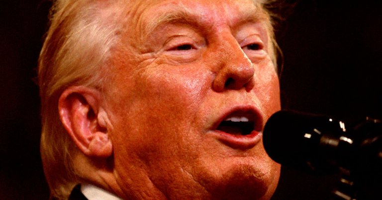 Former president Donald Trump claimed that he had "no choice" but to support Tesla CEO Elon Musk because he "endorsed me very strongly."