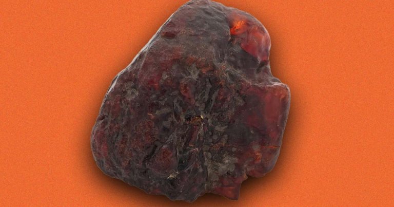 An elderly woman in Romania was using a seven-pound rock as a doorstop for decades — which turned out to be a $1 million amber nugget.