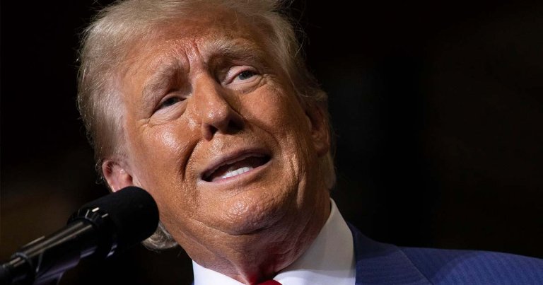 The share price of former president Donald Trump's Truth Social meme stock has plummeted to a new low.