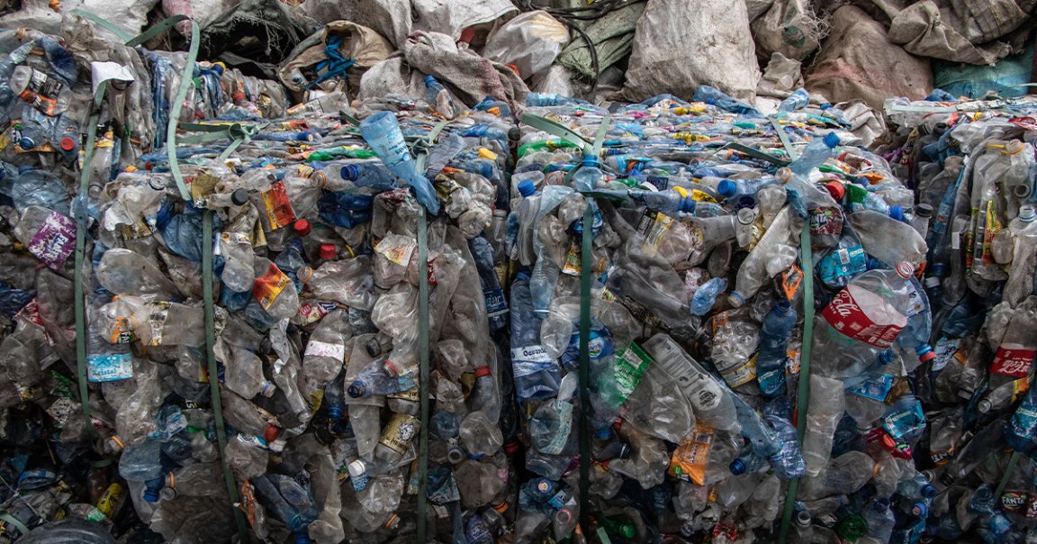 The scientists edited to the bacteria to prove which enzyme it used to degrade PET plastics into bioavailable carbon.