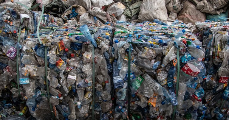 The scientists edited to the bacteria to prove which enzyme it used to degrade PET plastics into bioavailable carbon.