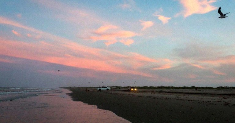 The body of a missing SpaceX employee has been found near a beach close to the company's testing facilities in Boca Chica, Texas.