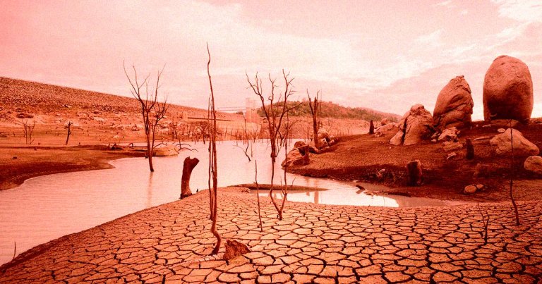The world's rivers are drying up at rates faster than ever before thanks to climate change — and last year was the world on record. 