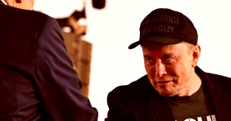 In a Sunday tweet, Musk promised to give out $47 to "every person you refer to sign the petition if they’re in a swing state."